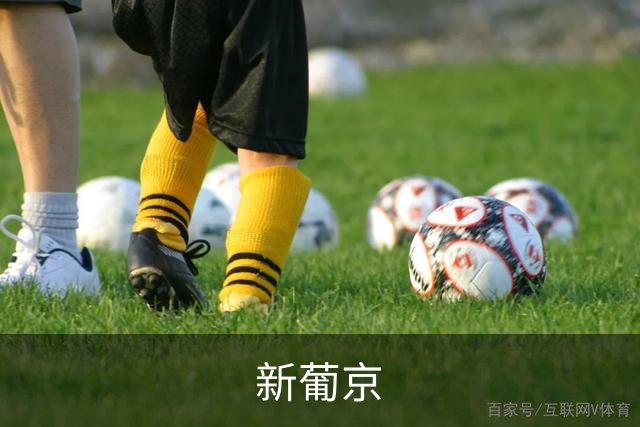 新葡京公司简介